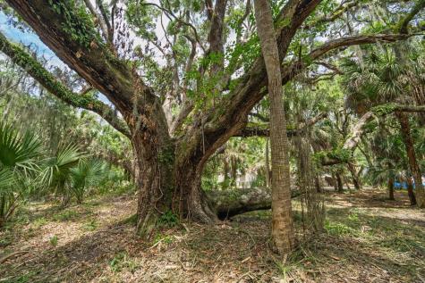 3322 Myrtle Street Edisto Island SC 29438
