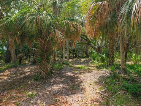 3322 Myrtle Street Edisto Island SC 29438