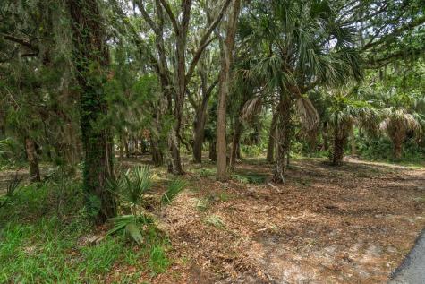 3322 Myrtle Street Edisto Island SC 29438