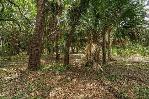 3322 Myrtle Street Edisto Island SC 29438