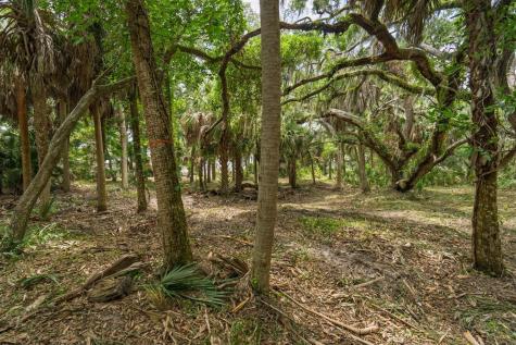 3322 Myrtle Street Edisto Island SC 29438