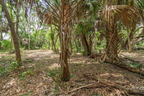 3322 Myrtle Street Edisto Island SC 29438