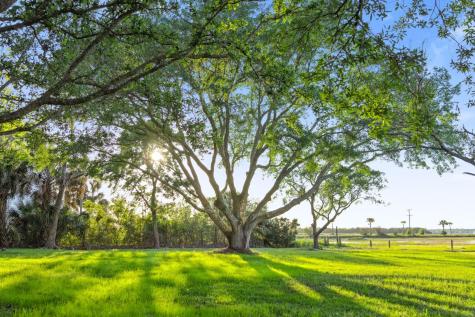 2298 Raven Drive Sullivans Island SC 29482