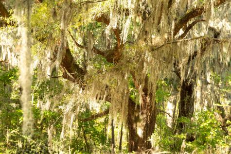 0 Point Comfort Moncks Corner SC 29461
