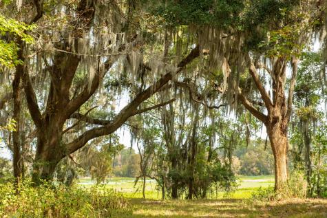 0 Point Comfort Moncks Corner SC 29461
