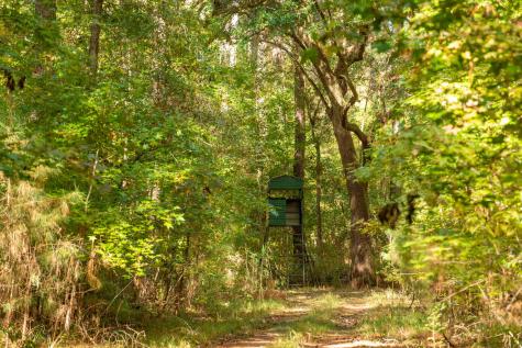 0 Point Comfort Moncks Corner SC 29461