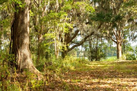 0 Point Comfort Moncks Corner SC 29461