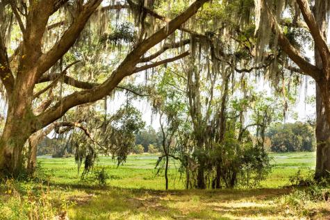 0 Point Comfort Moncks Corner SC 29461