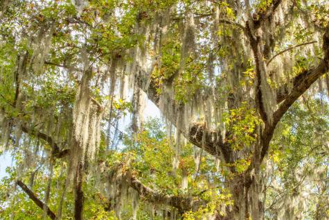 0 Point Comfort Moncks Corner SC 29461