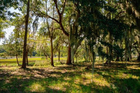 0 Hoopstick Island Road Johns Island SC 29455
