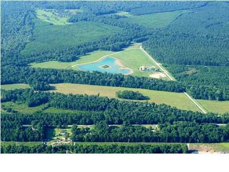 16 Leaning Oak Lane Ravenel SC 29470