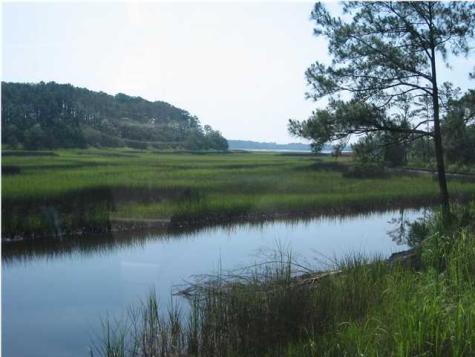 16 Leaning Oak Lane Ravenel SC 29470