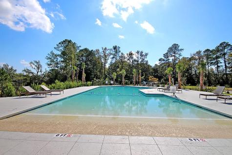 16 Leaning Oak Lane Ravenel SC 29470