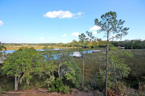 16 Leaning Oak Lane Ravenel SC 29470