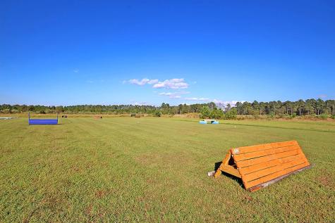 16 Leaning Oak Lane Ravenel SC 29470