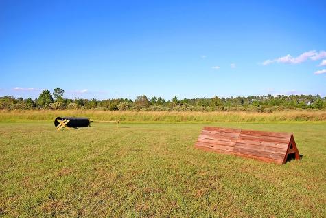 16 Leaning Oak Lane Ravenel SC 29470