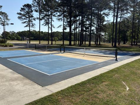 13 N Lake Circle Manning SC 29102