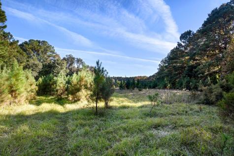 2476 Joseph Pearline Road Johns Island SC 29455