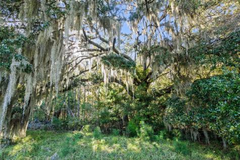 2476 Joseph Pearline Road Johns Island SC 29455