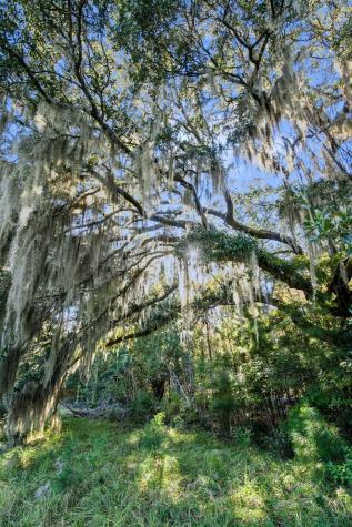 2476 Joseph Pearline Road Johns Island SC 29455