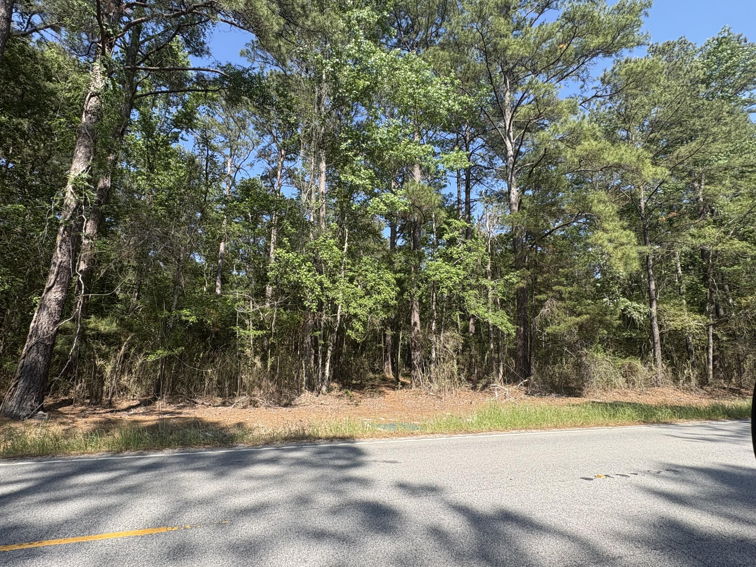 00 Clubhouse Road Ravenel SC 29470