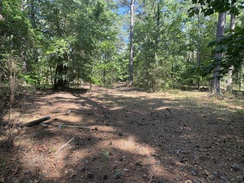 00 Clubhouse Road Ravenel SC 29470
