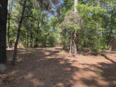 00 Clubhouse Road Ravenel SC 29470