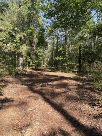 00 Clubhouse Road Ravenel SC 29470