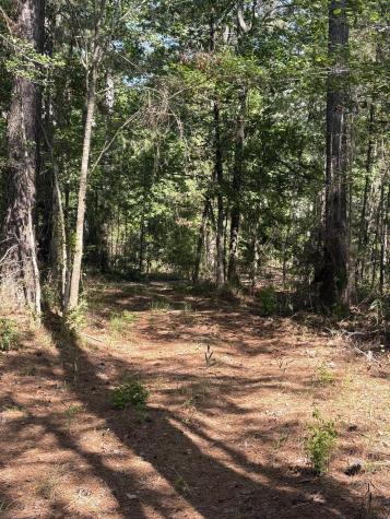 00 Clubhouse Road Ravenel SC 29470