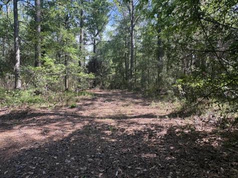 00 Clubhouse Road Ravenel SC 29470