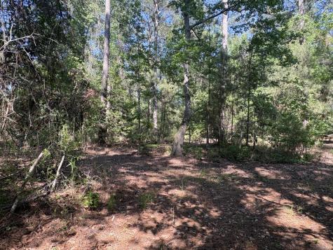00 Clubhouse Road Ravenel SC 29470