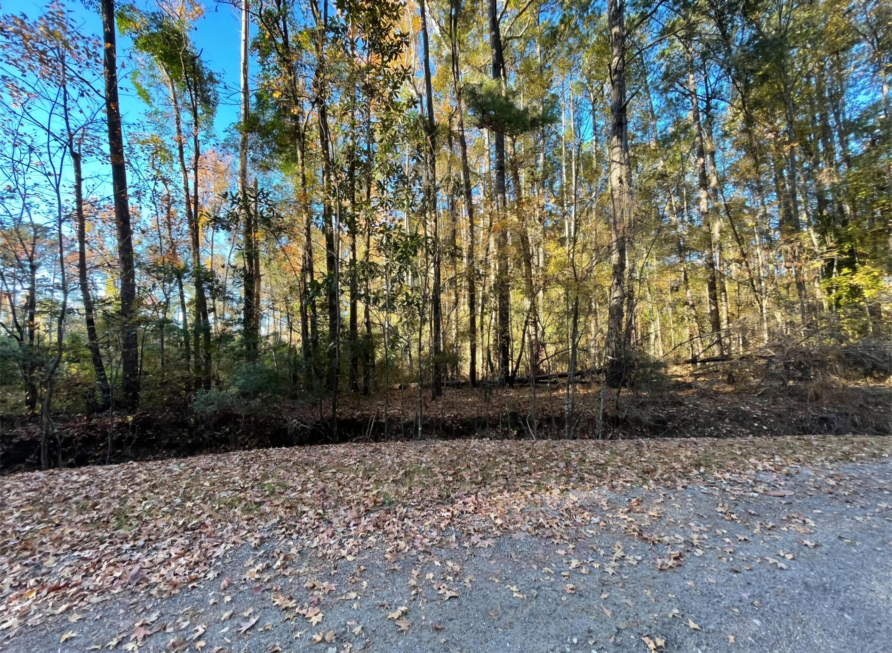 00 Dig It Road Summerville SC 29483