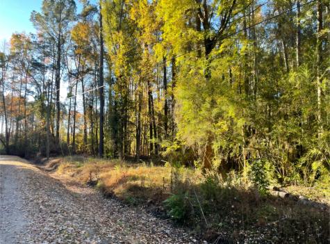 00 Dig It Road Summerville SC 29483