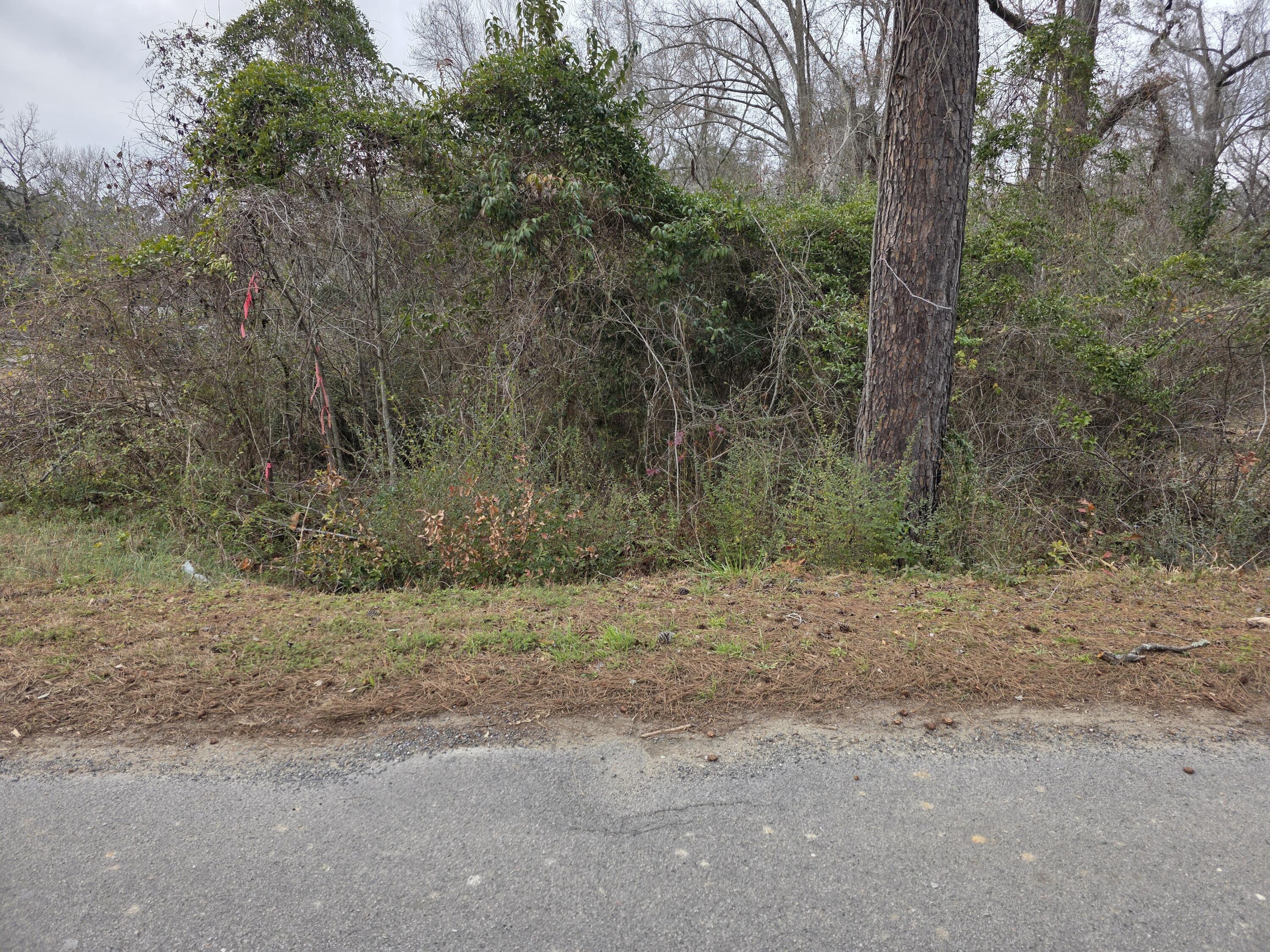 0 Mitten Road Moncks Corner SC 29461