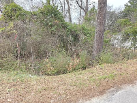 0 Mitten Road Moncks Corner SC 29461
