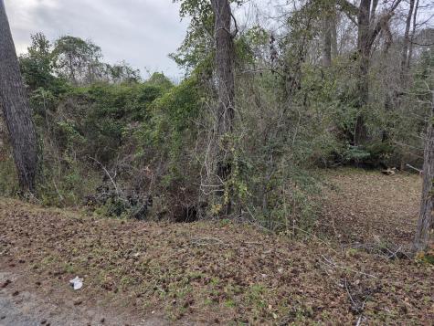 0 Mitten Road Moncks Corner SC 29461