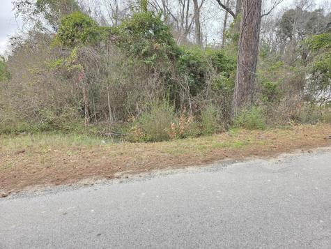 0 Mitten Road Moncks Corner SC 29461