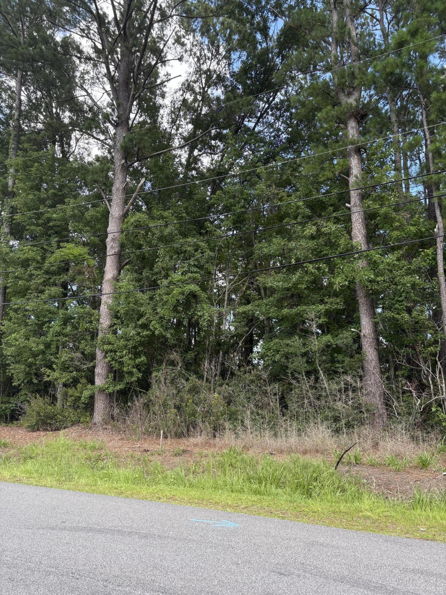 0 University Drive North Charleston SC 29418