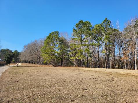 Lot 1 Santee Lumber Road Santee SC 29142