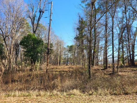 Lot 1 Santee Lumber Road Santee SC 29142