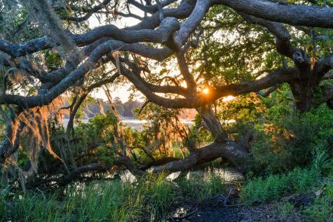 6001 Selkirk Plantation Road Wadmalaw Island SC 29487