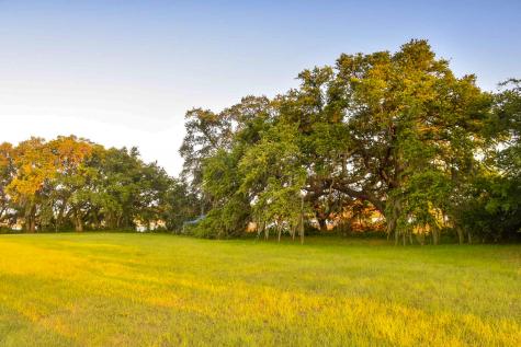 6001 Selkirk Plantation Road Wadmalaw Island SC 29487