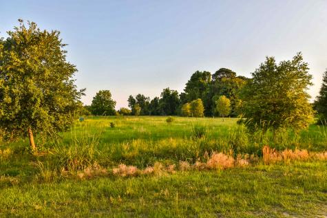 6001 Selkirk Plantation Road Wadmalaw Island SC 29487