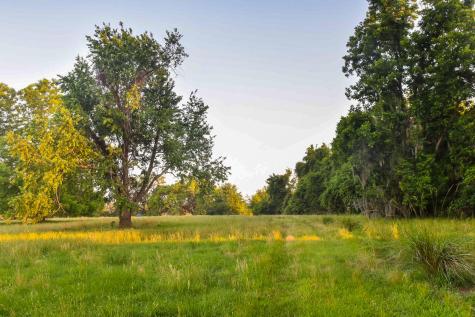 6001 Selkirk Plantation Road Wadmalaw Island SC 29487