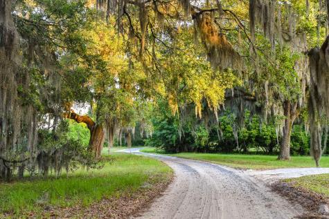 6001 Selkirk Plantation Road Wadmalaw Island SC 29487