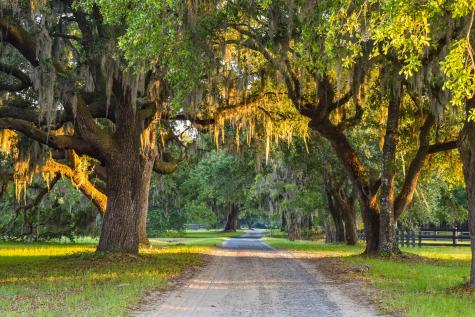 6001 Selkirk Plantation Road Wadmalaw Island SC 29487