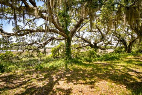 6001 Selkirk Plantation Road Wadmalaw Island SC 29487