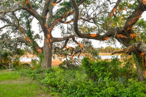6001 Selkirk Plantation Road Wadmalaw Island SC 29487