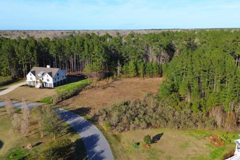 1321 Wood Sorrel Drive Moncks Corner SC 29461