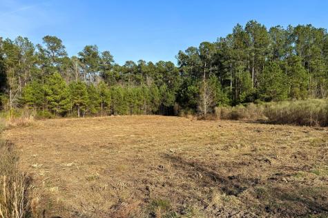 1321 Wood Sorrel Drive Moncks Corner SC 29461